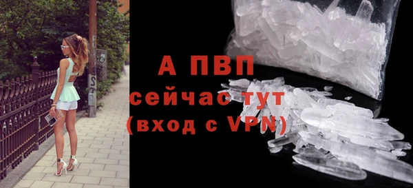 apvp Вяземский