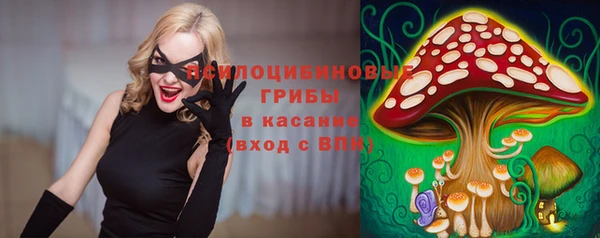 прущая мука Вязьма