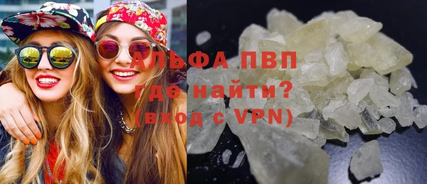 apvp Вяземский