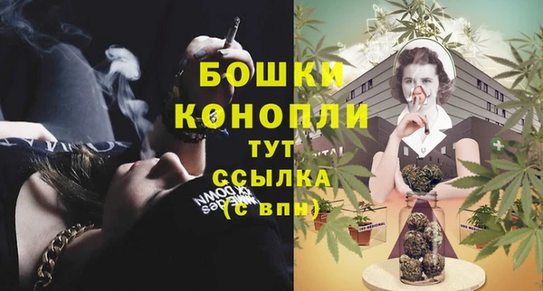 apvp Вяземский