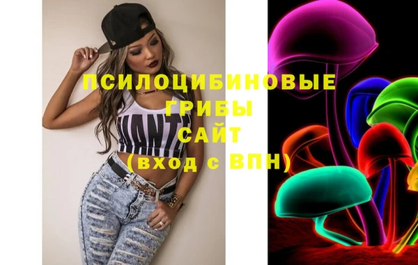 apvp Вяземский
