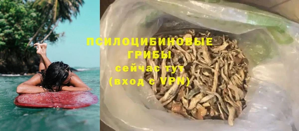 apvp Вяземский