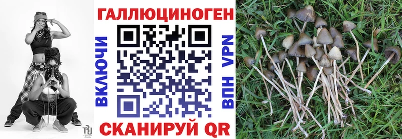 Галлюциногенные грибы Psilocybine cubensis MEGA ссылка Барнаул