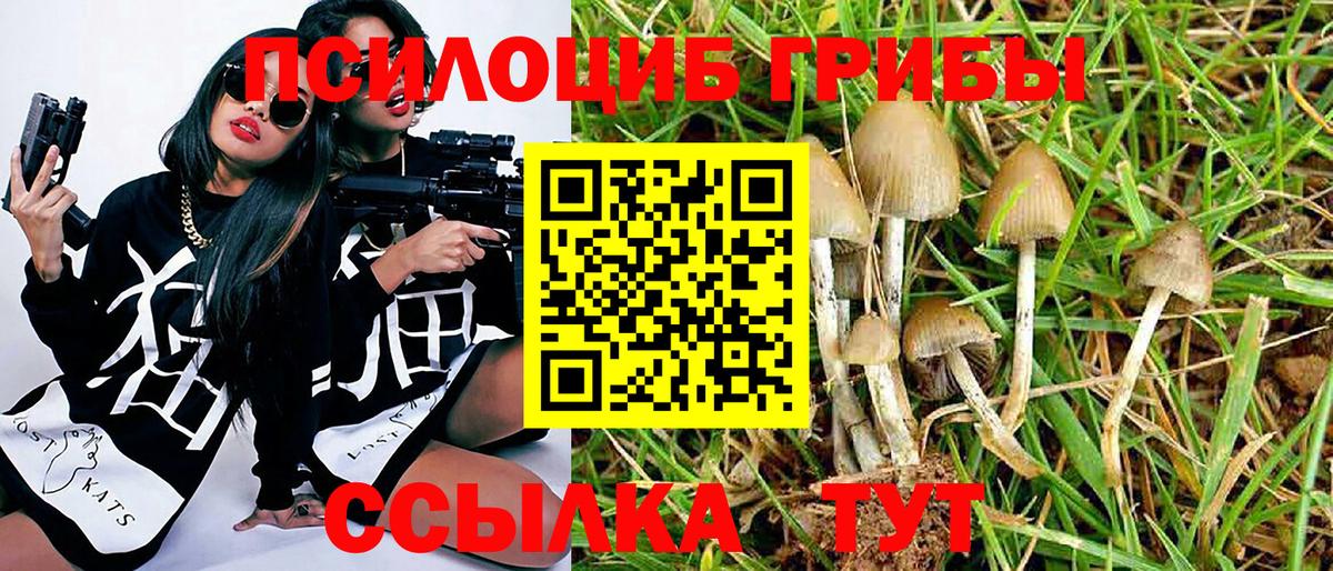 Галлюциногенные грибы мицелий Барнаул
