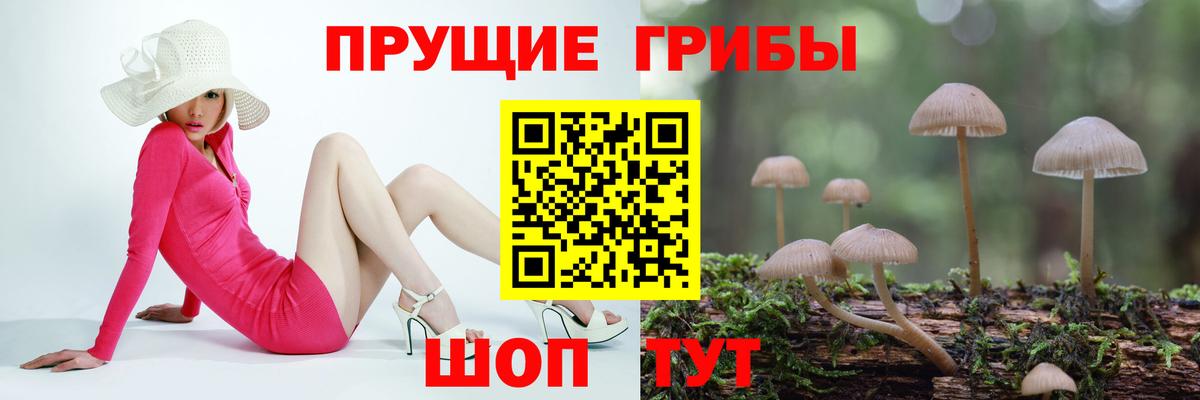 Барнаул  Галлюциногенные грибы MAGIC MUSHROOMS  цены   Вход с VPN  Псилоцибиновые грибы прущие грибы 